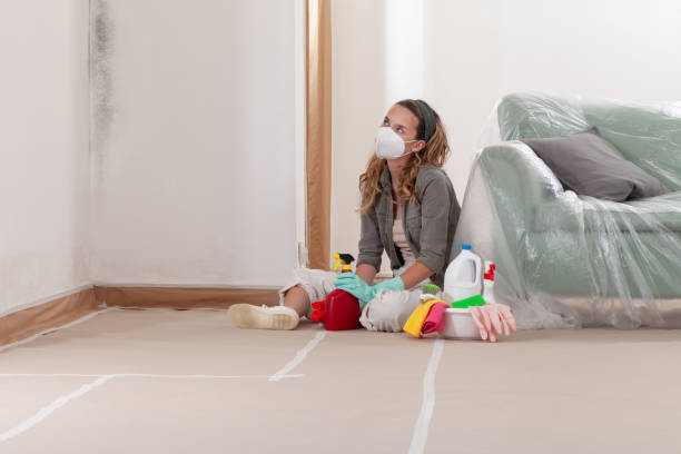 Reliable Mold Inspection contractor in Lakeland, FL by WQB Mold Removal